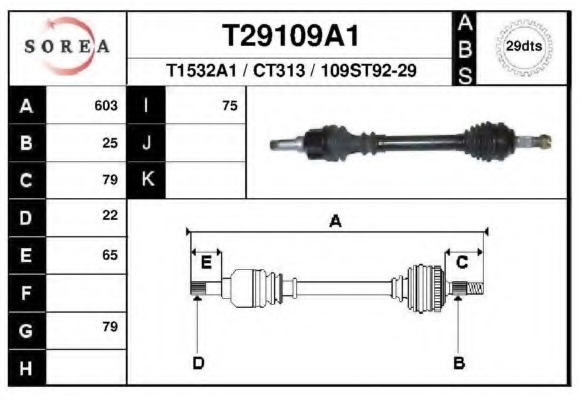 Planetara T29109A1 EAI - Planetara