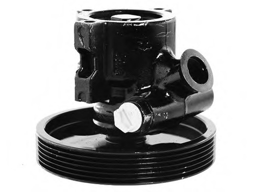 Pompa hidraulica, sistem de directie 15-0137 ELSTOCK - Caseta directie/ pompa servodirectie Pompa hidraulica, sistem de directie 15-0137 ELSTOCK - Caseta directie/ pompa servodirectie
