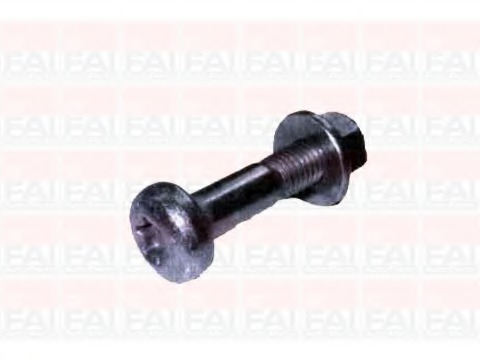 Chit reparatie, articulatie sarcina/ghidare SS4755 FAI AutoParts - Pivoti/ articulatii Chit reparatie, articulatie sarcina/ghidare SS4755 FAI AutoParts - Pivoti/ articulatii