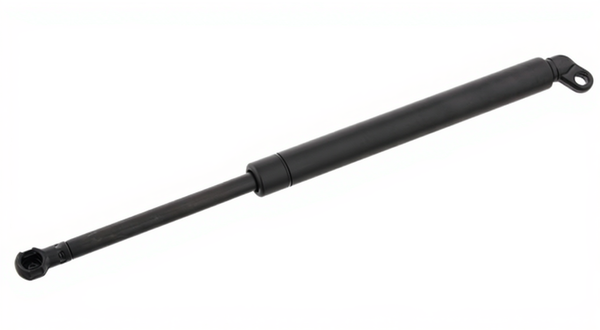 Amortizor portbagaj 27596 FEBI BILSTEIN - Elemente/piese montaj
