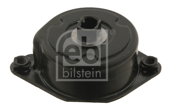 Intinzator curea, curea distributie 30117 FEBI BILSTEIN - Transmisie - kit accesorii Intinzator curea, curea distributie 30117 FEBI BILSTEIN - Transmisie - kit accesorii