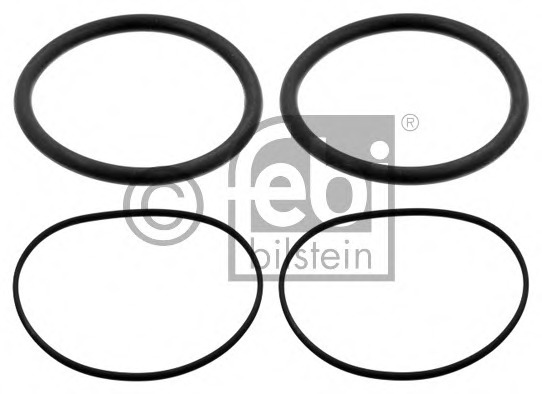 Set garnituri, bucsa cilindru 37925 FEBI BILSTEIN - Garnituri Set garnituri, bucsa cilindru 37925 FEBI BILSTEIN - Garnituri