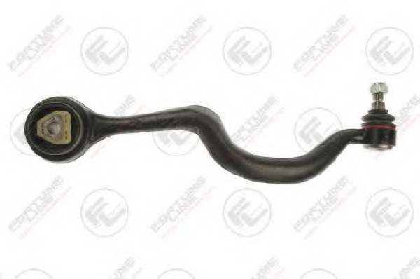 Brat, suspensie roata FZ5050 FORTUNE LINE - Brate suspensie / directie (bascula)