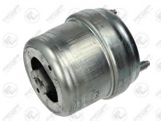 Suport motor FZ90777 FORTUNE LINE - Suport motor