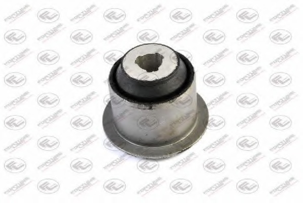 Brat, suspensie roata FZ9343 FORTUNE LINE - Directie / bucsi, rulmenti Brat, suspensie roata FZ9343 FORTUNE LINE - Directie / bucsi, rulmenti