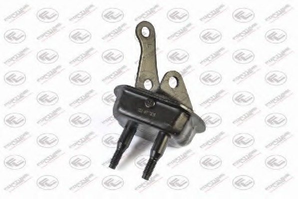 Brat, suspensie roata FZ9788 FORTUNE LINE - Directie / bucsi, rulmenti Brat, suspensie roata FZ9788 FORTUNE LINE - Directie / bucsi, rulmenti