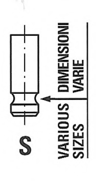 Supapa evacuare R6567/RNT FRECCIA - Control distributie Supapa evacuare R6567/RNT FRECCIA - Control distributie