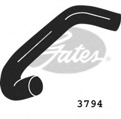 Furtun radiator 3794 GATES - Furtunuri / conducte / flanse Furtun radiator 3794 GATES - Furtunuri / conducte / flanse