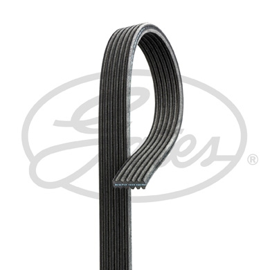 Curea transmisie cu caneluri 6DPK1195 GATES - Transmisie - kit accesorii Curea transmisie cu caneluri 6DPK1195 GATES - Transmisie - kit accesorii