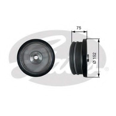Fulie curea, arbore cotit TVD1122 GATES - Fulie curea Fulie curea, arbore cotit TVD1122 GATES - Fulie curea
