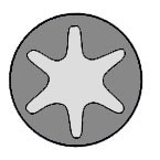 Set surub, chiulasa T07921-00 GLASER - Surub chiulasa