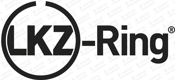 Set segmenti piston 08-437500-00 GOETZE ENGINE - Arbore cotit, angrenare