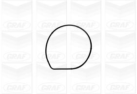 pompa apa PA1071 GRAF - Pompa apa/ garnitura