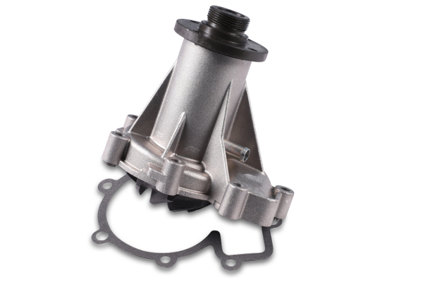 pompa apa P161 HEPU - Pompa apa/ garnitura