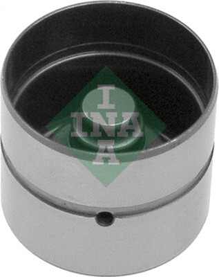 culbutor supapa 420 0058 10 INA - Tampon / bara / tub