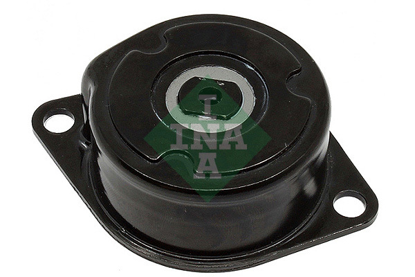 intinzator,curea transmisie 533 0075 30 INA - Brat de tensionare