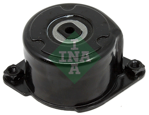 Intinzator curea, curea distributie 534 0170 10 INA - Transmisie - kit accesorii Intinzator curea, curea distributie 534 0170 10 INA - Transmisie - kit accesorii