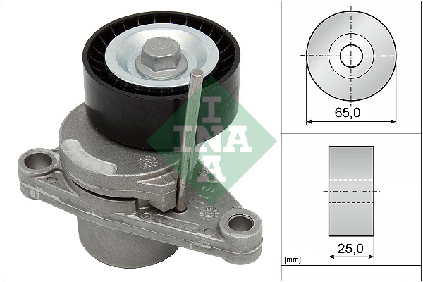intinzator,curea transmisie 534 0250 10 INA - Transmisie - kit accesorii intinzator,curea transmisie 534 0250 10 INA - Transmisie - kit accesorii
