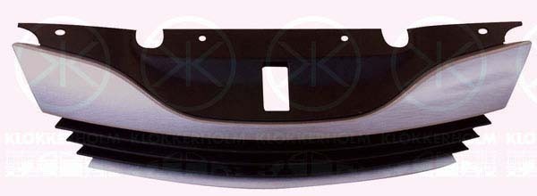 Grila radiator 6055990 KLOKKERHOLM - Fata vehicul