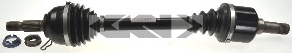 Planetara 305342 LÖBRO - Planetara Planetara 305342 LÖBRO - Planetara