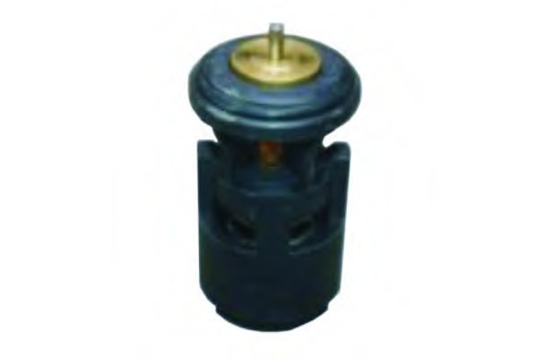 termostat,lichid racire 032121110B-PCS-MS MASTER-SPORT - Termostat