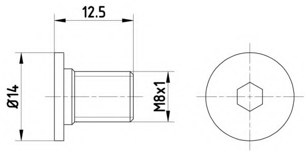 Surub, disc frana TPM0002 MINTEX - Frana disc Surub, disc frana TPM0002 MINTEX - Frana disc