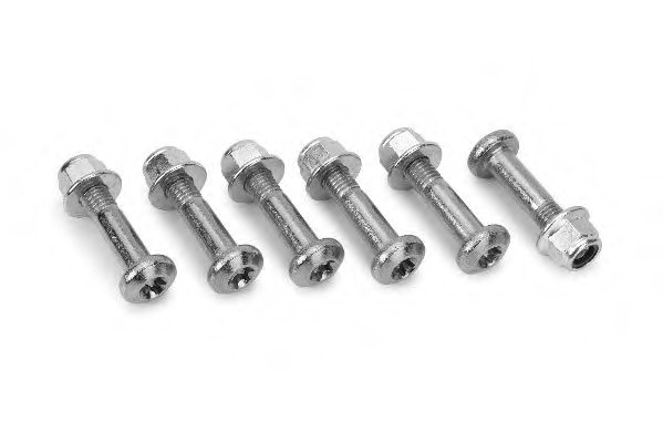 Set surub clema, articulatie sarcina/ghidare FD-RK-3954 MOOG - Pivoti/ articulatii Set surub clema, articulatie sarcina/ghidare FD-RK-3954 MOOG - Pivoti/ articulatii