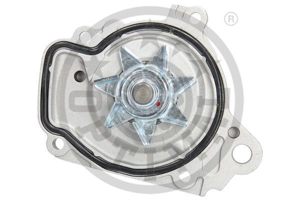 pompa apa AQ-1244 OPTIMAL - Pompa apa/ garnitura