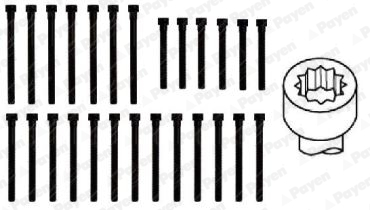 Set surub, chiulasa HBS060 PAYEN - Surub chiulasa