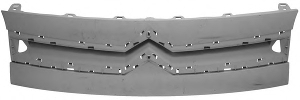 Grila radiator BR-31 PHIRA - Caroserie1