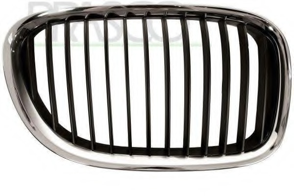 Grila radiator BM1012003 PRASCO - Elemente/piese montaj