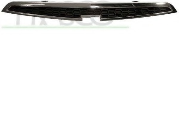 Grila radiator DW3402001 PRASCO - Partea frontala/grila radiator