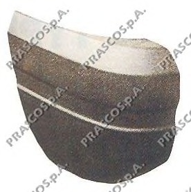 Acoperire, bara protectie JE0101103 PRASCO - Caroserie1