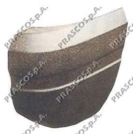 Acoperire, bara protectie JE0101104 PRASCO - Caroserie1