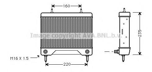 Radiator ulei, ulei motor MS3115 PRASCO - Ungere Radiator ulei, ulei motor MS3115 PRASCO - Ungere