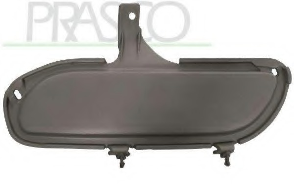 Acoperire, bara protectie PG0571238 PRASCO - Caroserie1