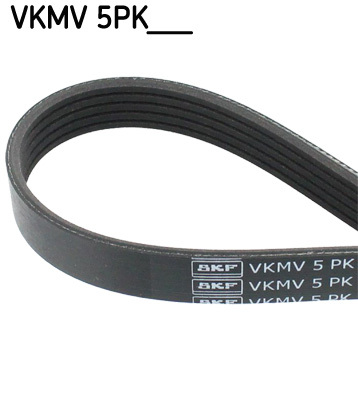 Curea transmisie cu caneluri VKMV 5PK1135 SKF - Transmisie - kit accesorii Curea transmisie cu caneluri VKMV 5PK1135 SKF - Transmisie - kit accesorii
