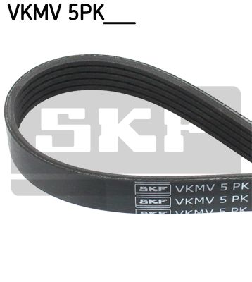 Curea transmisie cu caneluri VKMV 5PK1545 SKF - Transmisie - kit accesorii Curea transmisie cu caneluri VKMV 5PK1545 SKF - Transmisie - kit accesorii