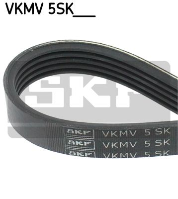 Curea transmisie cu caneluri VKMV 5SK926 SKF - Transmisie - kit accesorii Curea transmisie cu caneluri VKMV 5SK926 SKF - Transmisie - kit accesorii