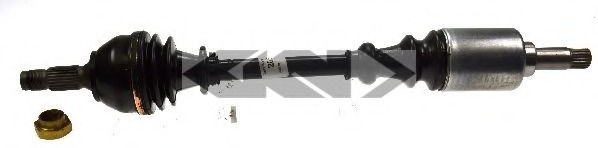 Planetara 20648 SPIDANN - Planetara