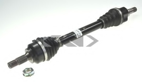 Planetara 21733 SPIDANN - Planetara