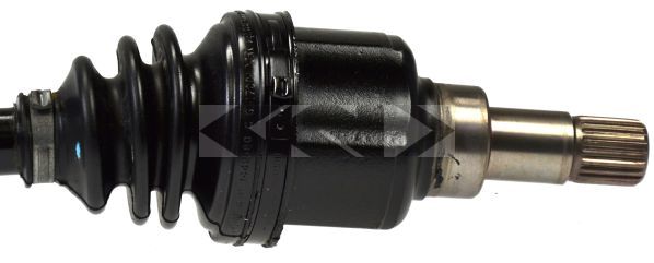 Planetara 22113 SPIDANN - Planetara