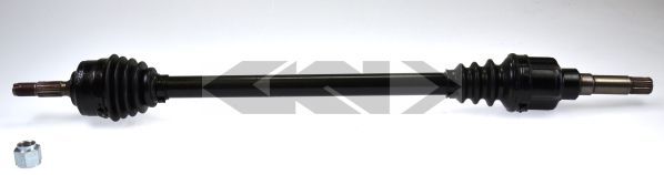 Planetara 22114 SPIDANN - Planetara