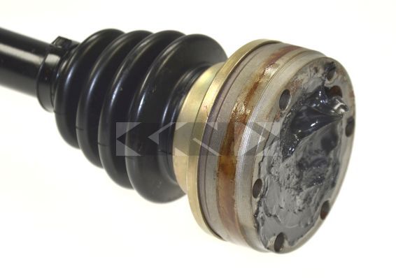 Planetara 22471 SPIDANN - Planetara