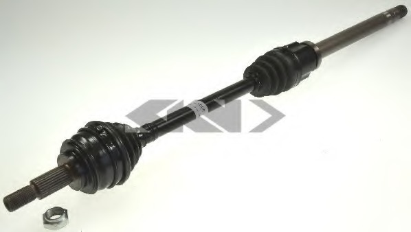 Planetara 25094 SPIDANN - Planetara