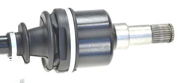 Planetara 25121 SPIDANN - Planetara