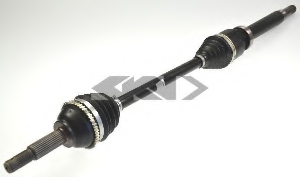 Planetara 25432 SPIDANN - Planetara