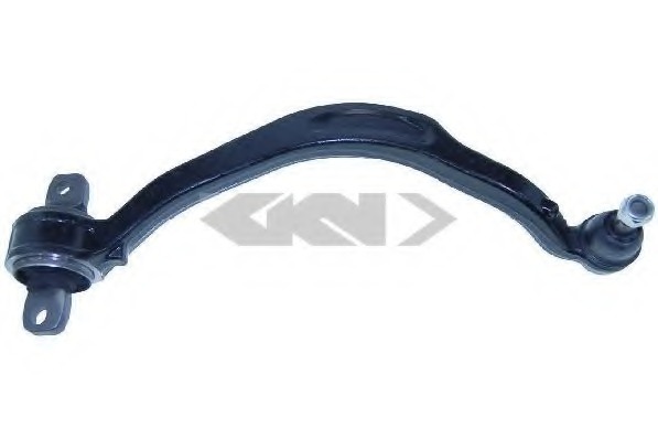 Brat, suspensie roata 46993 SPIDANN - Directie / bucsi, rulmenti