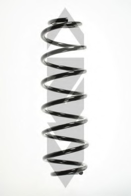 Arc spiral 49495 SPIDANN - Arc spirala Arc spiral 49495 SPIDANN - Arc spirala