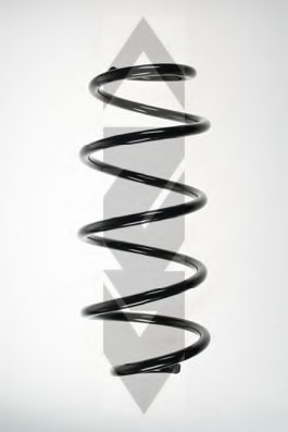 Arc spiral 56659 SPIDANN - Arc spirala Arc spiral 56659 SPIDANN - Arc spirala
